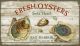 fresh-oysters-suzanne-nicoll-vintage-wood